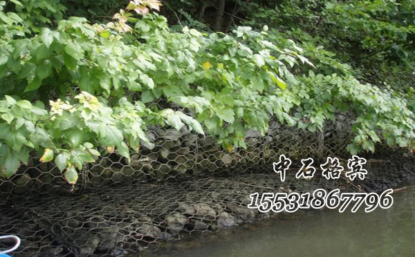 格賓網生態護岸 格賓網生態護岸