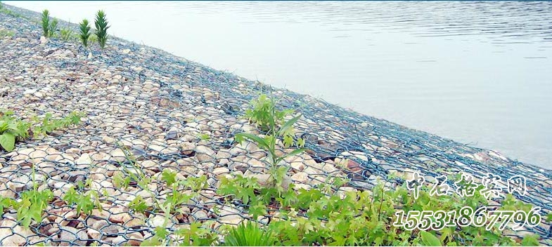 綠濱墊護坡 綠濱墊護坡