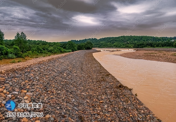 雷諾護墊 雷諾護墊